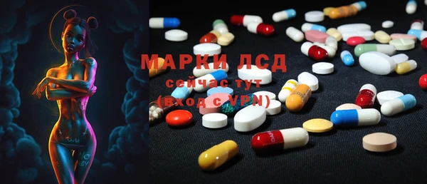 дживик Пересвет