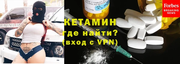 дживик Пересвет