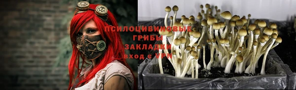а пвп мука Абаза