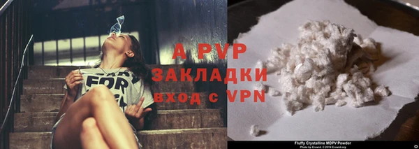 дживик Пересвет
