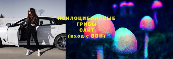 эйфоретик Алексеевка