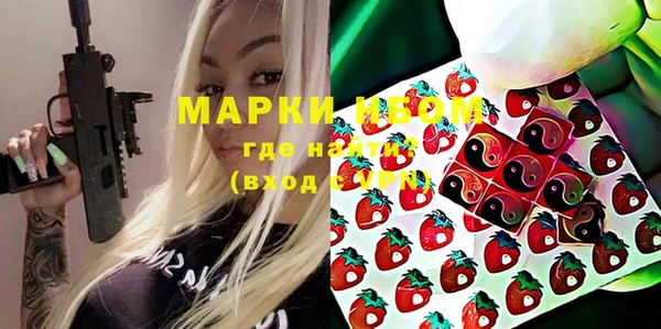 дживик Пересвет